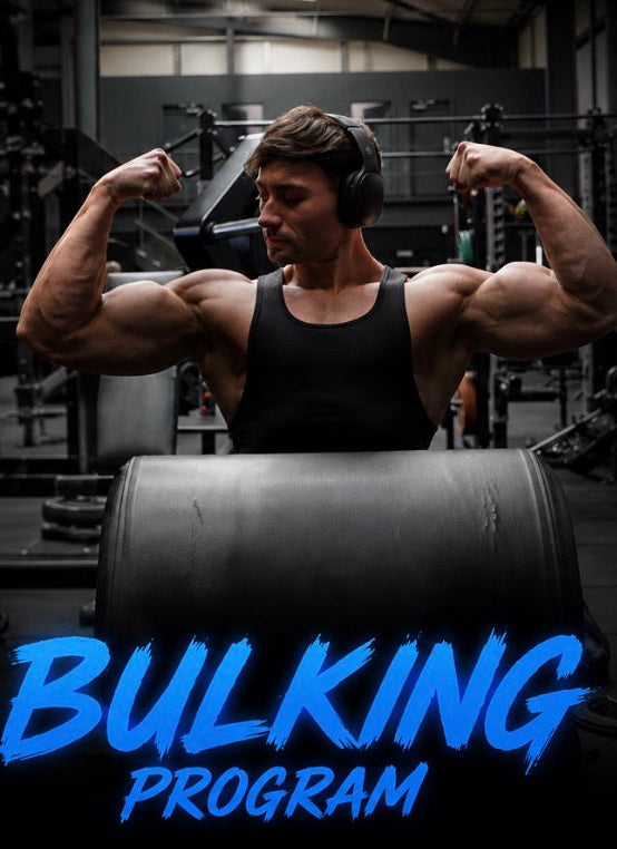 Bulking Program